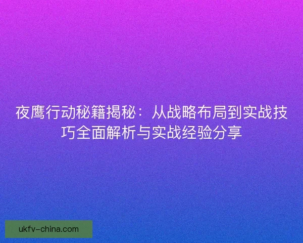 夜鹰行动秘籍揭秘：从战略布局到实战技巧全面解析与实战经验分享