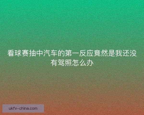 看球赛抽中汽车的第一反应竟然是我还没有驾照怎么办