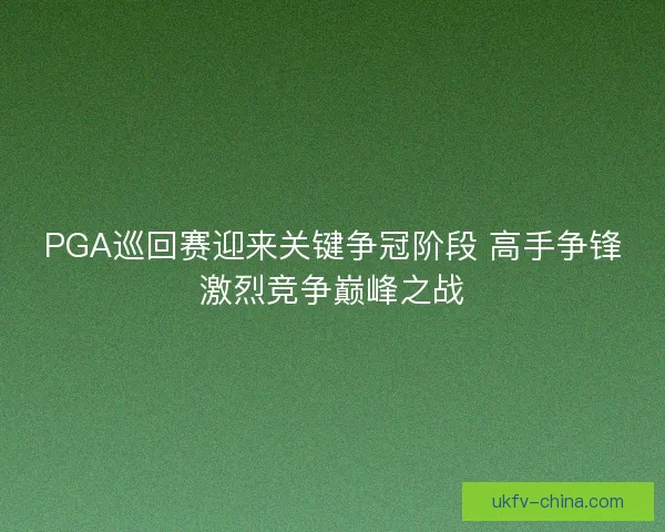 PGA巡回赛迎来关键争冠阶段 高手争锋激烈竞争巅峰之战