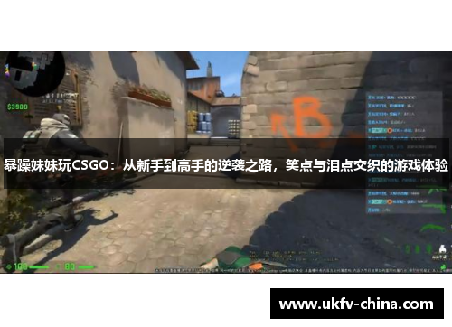暴躁妹妹玩CSGO：从新手到高手的逆袭之路，笑点与泪点交织的游戏体验